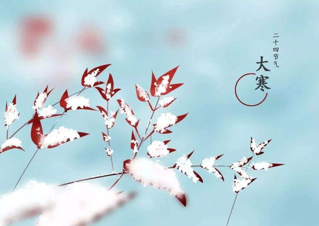 大寒雪未消，清霜梅已驕!